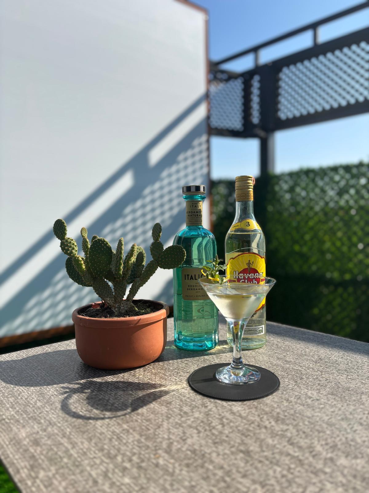 Bar & Kokteyl